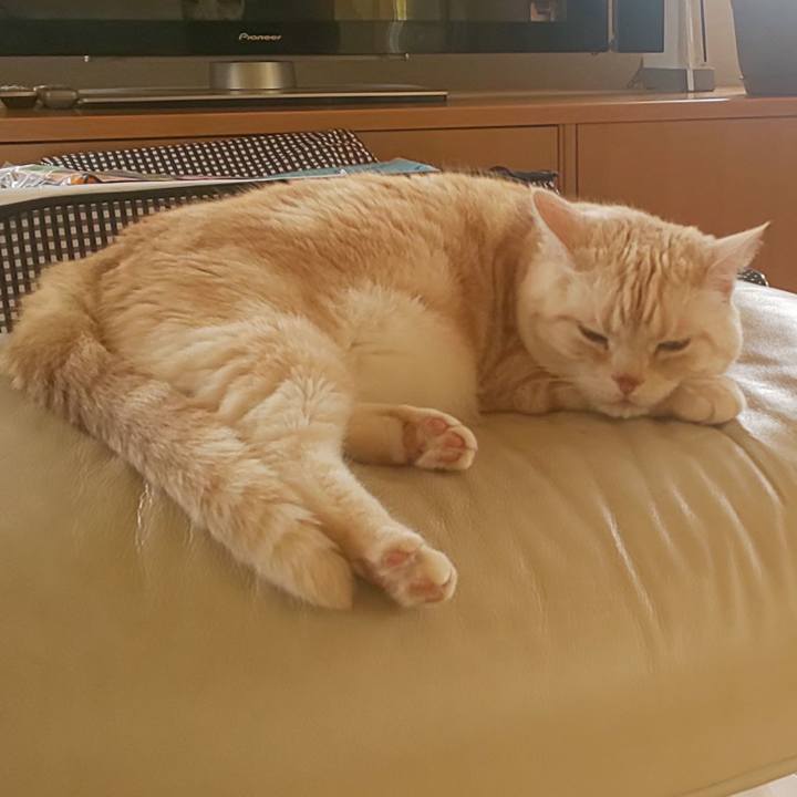 41aeaffd e213 4a23 a6e1 2be77b293b8d 1590452597913