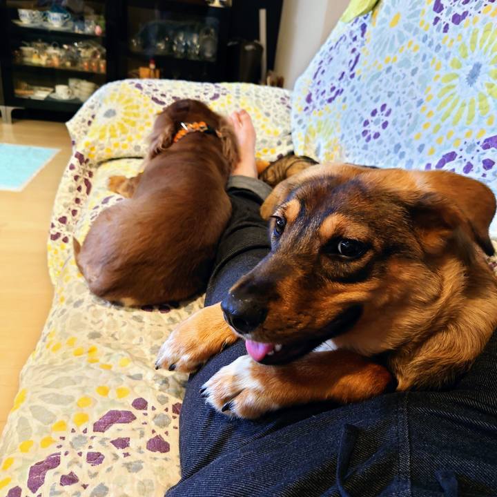 41aec5f4 ddd3 4790 8b98 ae837bc7dc26 1686381830830