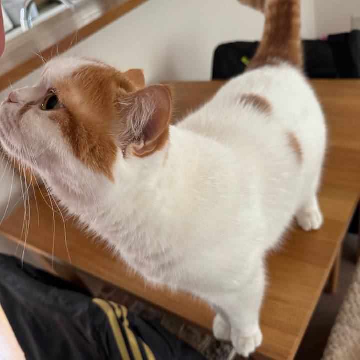 41aee928 f24d 45f4 9c83 259d211d39d1 1777074668701