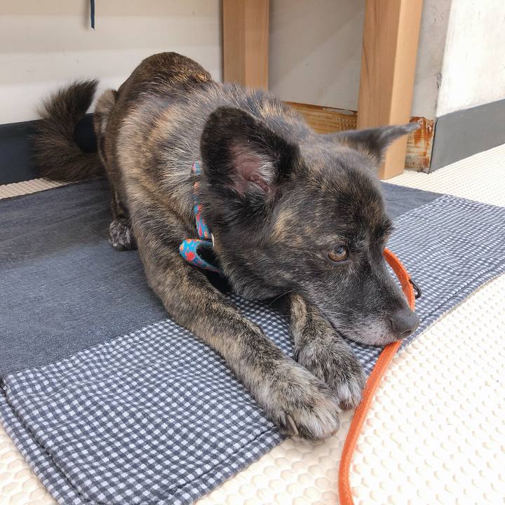 41aef5e4 5970 4949 8fac a222b013a3a6 1569128854105