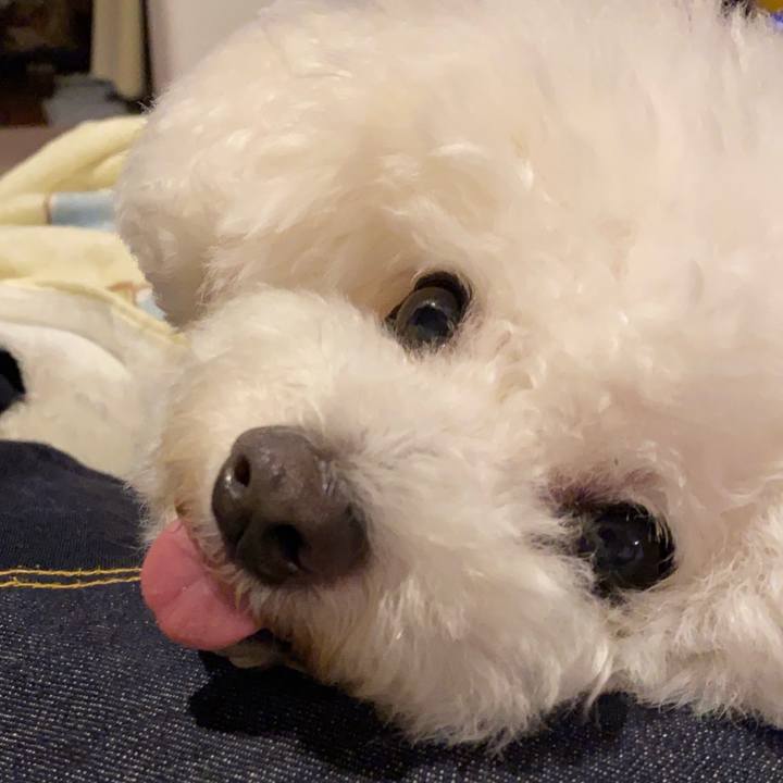 41aefe0e 0719 403f 88d0 e14fe3534941 1717160667832