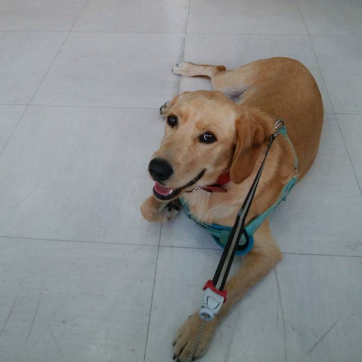 41af14f5 21b9 40df a679 db7d39d59e6a 1507777480756