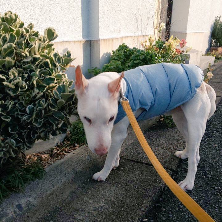 41af4489 bd4c 42f4 8ea1 9fe29e8201d2 1547769199530