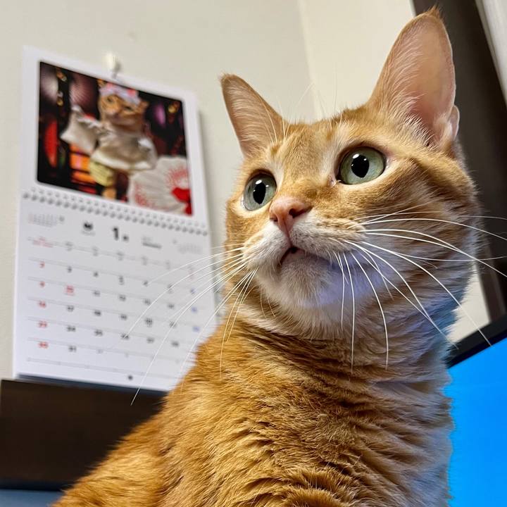 41af4ac8 3b0a 4238 9749 b67de92ea8f5 1641249713729