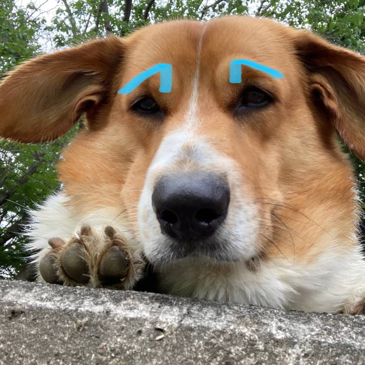 41af6909 dd38 4f99 8e5d c1fa94639168 1688092053384