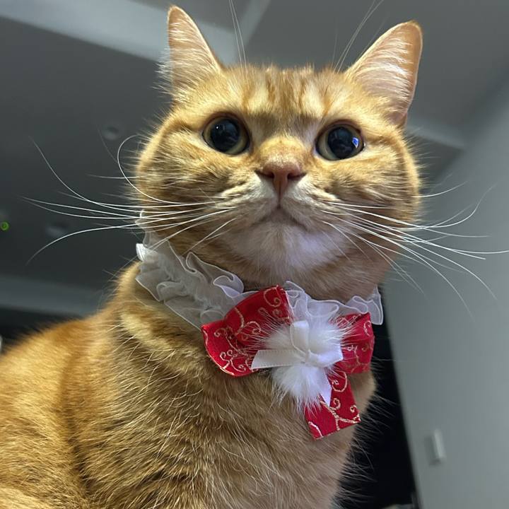 41af9047 a12f 40cb 8034 d42ce731453c 1735686998799