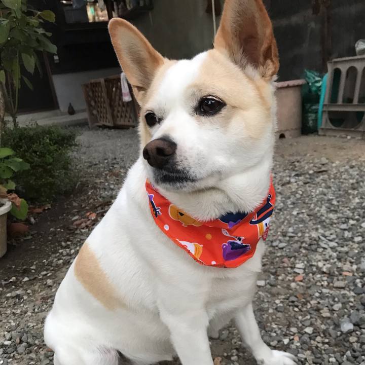 41af97aa 3dc2 4cfa 9f24 87bf1a1edc41 1698490976817