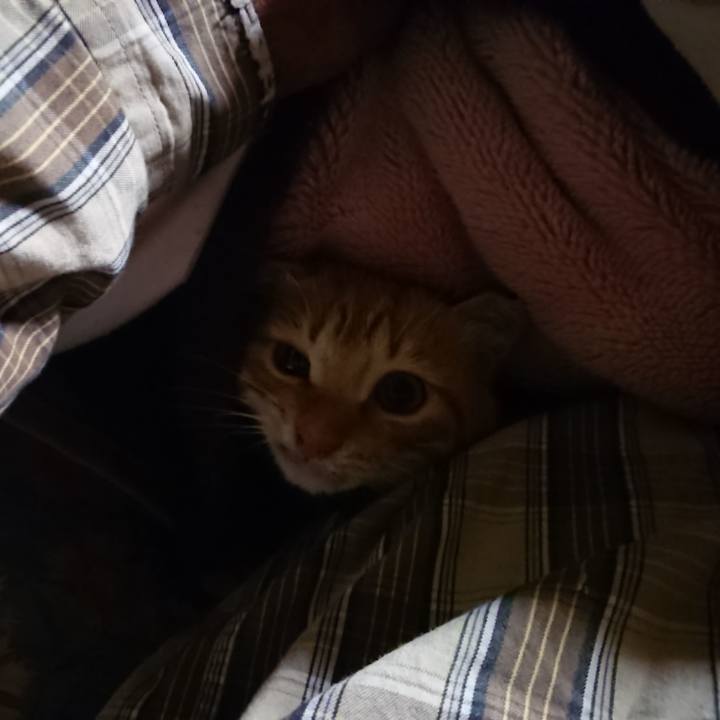 41afc6cc 0efd 4eea b84d f5b315780e68 1638390962899