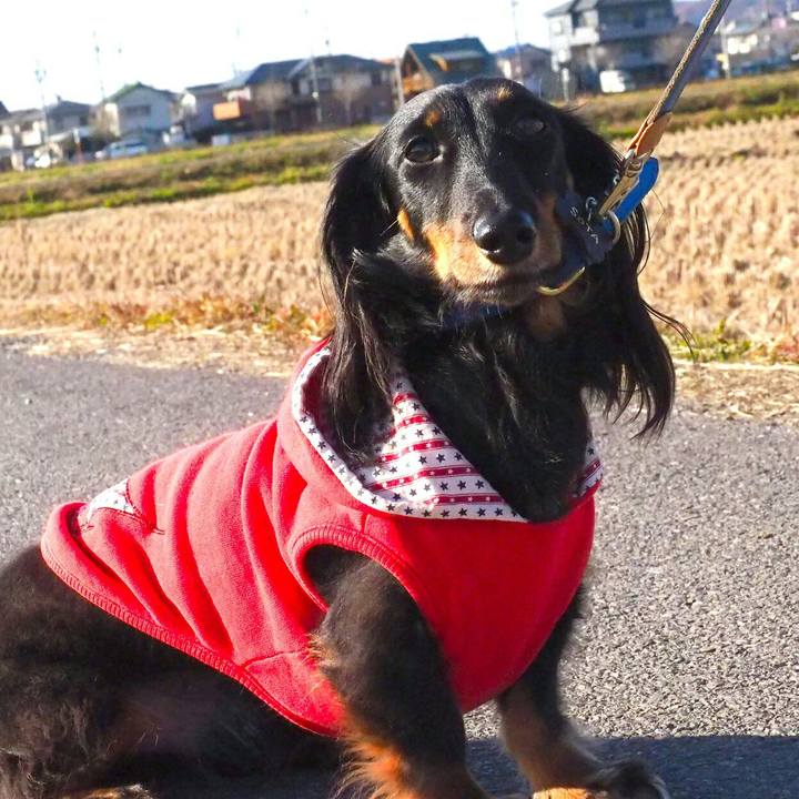 41afe61e 9553 42f8 be50 0aa7ec068b22 1512959940267