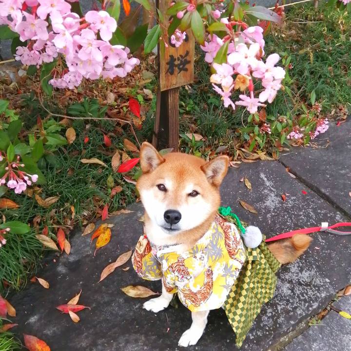 41afeb02 9ec4 4e14 a47f 5351834310cf 1674041250037