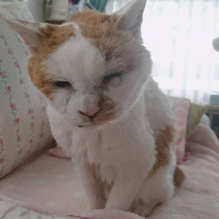 41b0160a 4e53 4fc6 a97c be9af11c23b3 1659138722082