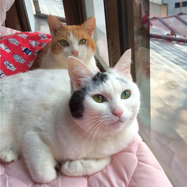 41b0706b f7be 4036 bda4 ba0bee25f321 1579931544091