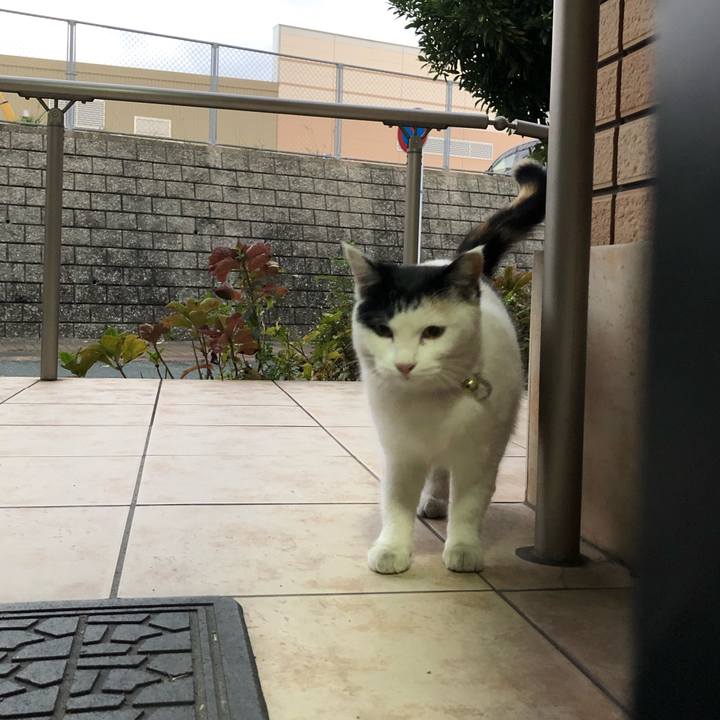 41b0958b 3da6 44e3 a280 31e1ace9eb8e 1606515650638