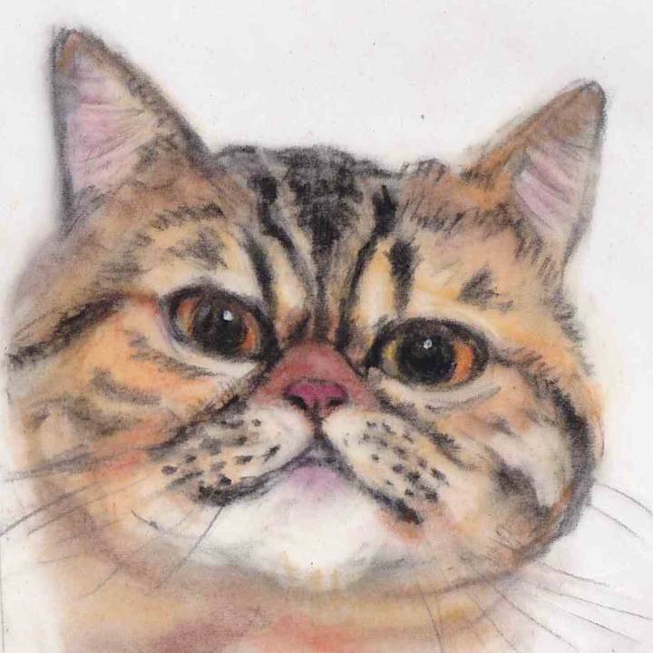 41b096bd 12ce 460f 8284 71dc4b78dfb7 1647082654011