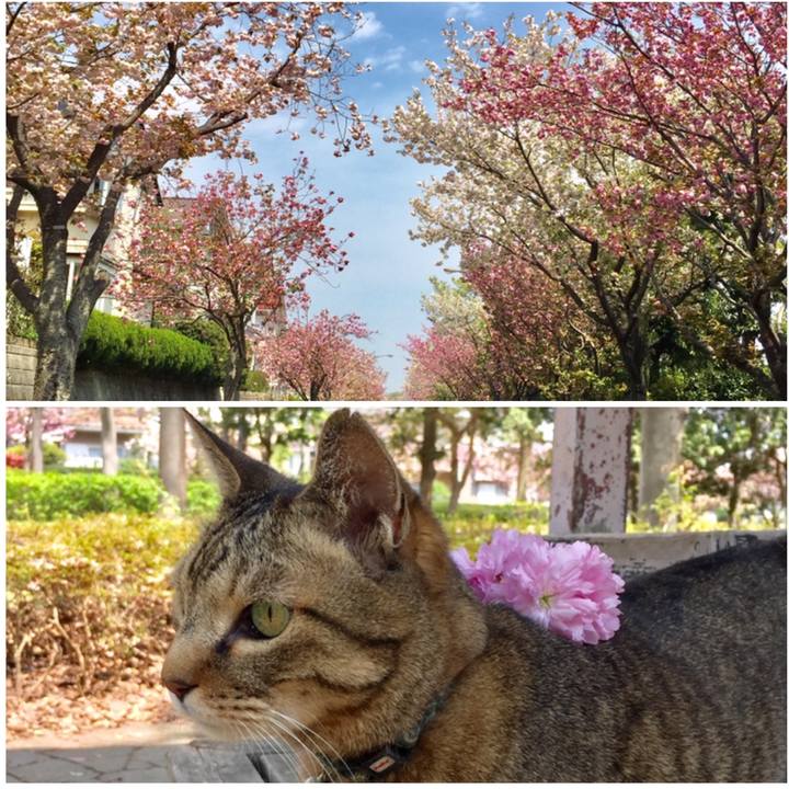 41b0f43d ef62 4fa7 9c99 b20618689038 1555659953110