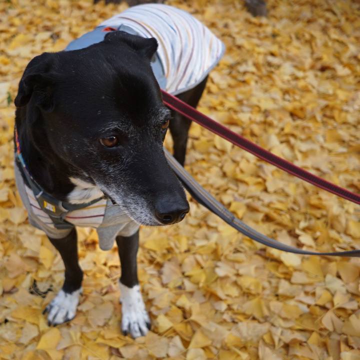 41b10a5a f9ef 4f8c a09f 561e3fd0b25b 1764376696425