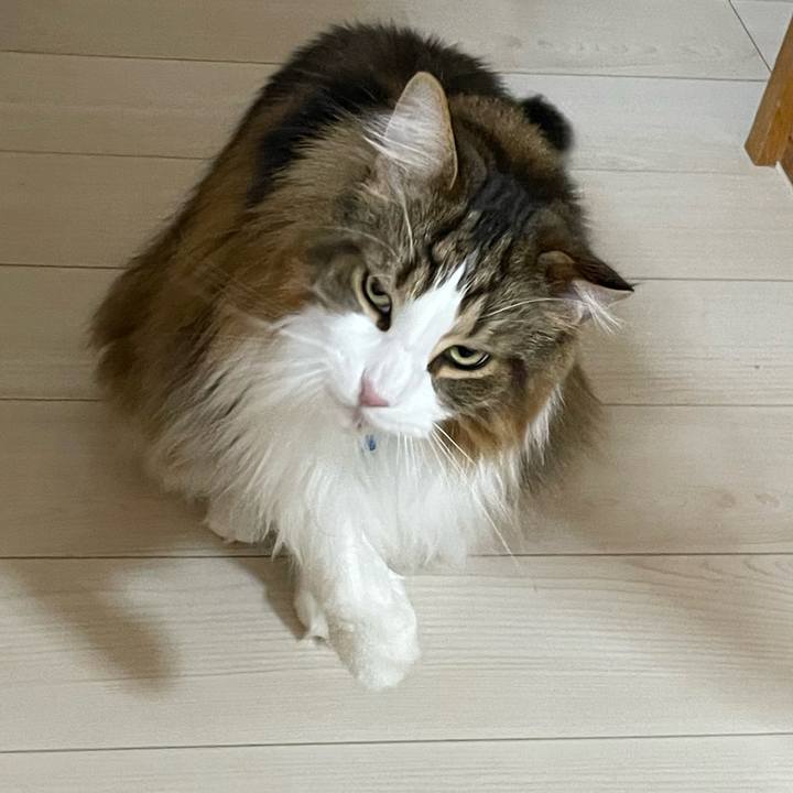 41b11d92 f7cf 45b1 a4ed 3cf1baddd4ad 1705434087456