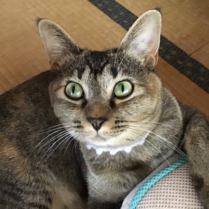 41b13d25 c7d2 445a a3e9 45761f5147dc 1597459514196