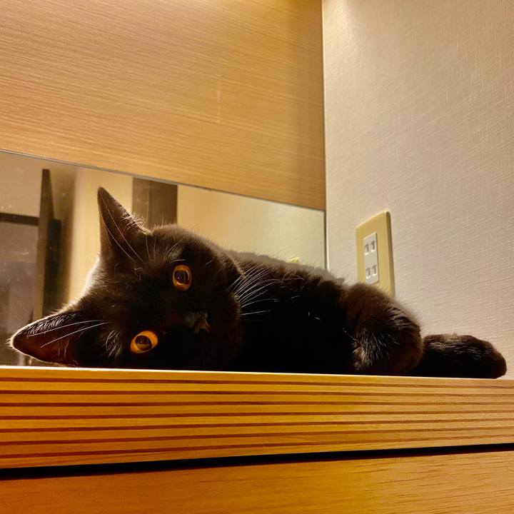 41b14911 9327 4d32 bcbe d3447bd6a8c6 1599472727886