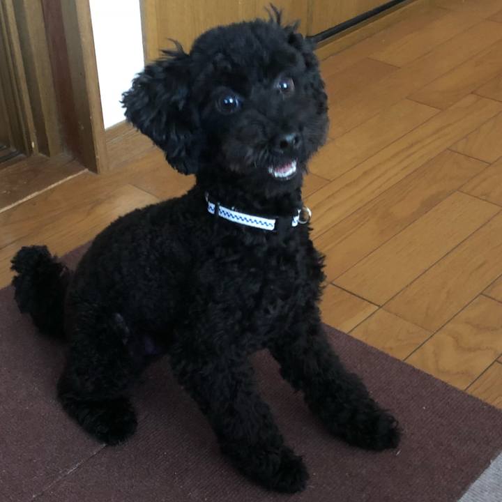 41b1575f d758 41fd 9cfb 64d3db5e8770 1510007085957