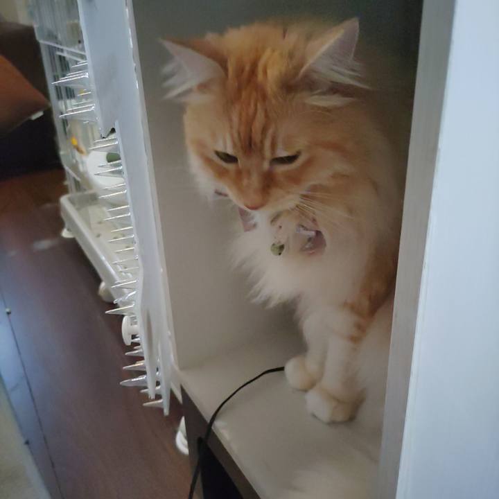 41b16084 6366 4347 b590 815a69f747c6 1720085455877