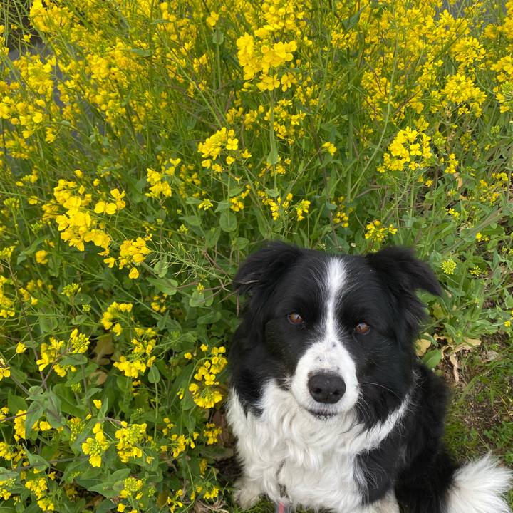 41b17350 806c 424b 921a 805e2e5ecc31 1615246446806