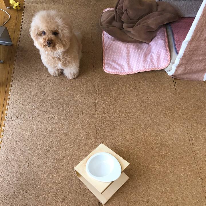 41b1a5d8 ad66 4dc5 855f 4273e582d48d 1529206119293