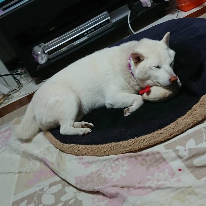 41b20bb2 fa00 445b a394 e67693762f04 1569142811656