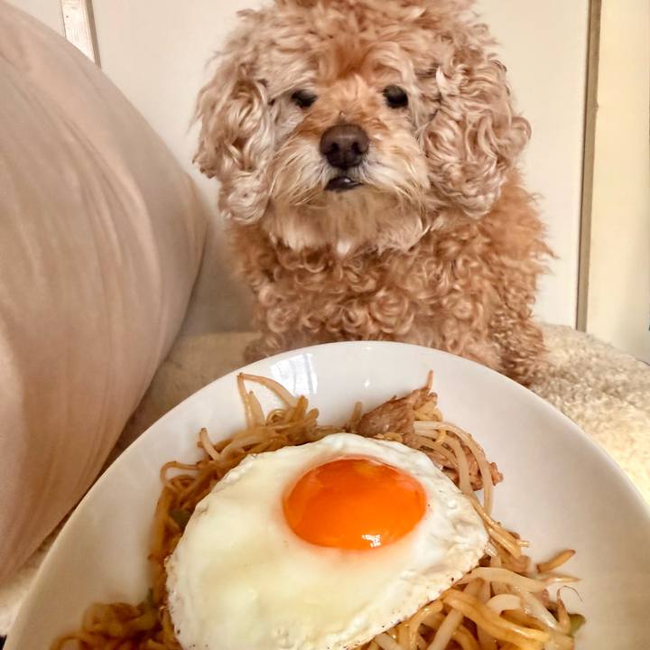 41b2272d cf10 4962 891a 37ba47c7af32 1772168614949