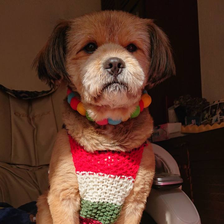 41b23592 ac41 4a55 b7a8 a214a864a809 1548987849808