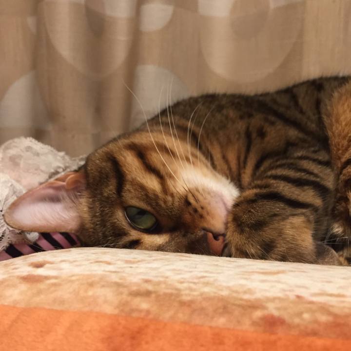 41b23798 c00d 4bd3 8928 30bbe61d5296 1540249261395