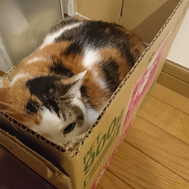 41b23b31 60d6 4a04 b60d ab4f119b5f8c 1555861179502