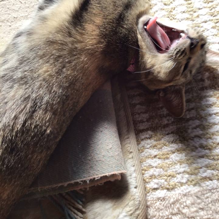 41b24b5e 3cbf 4070 909c e53898948cc1 1573352653989