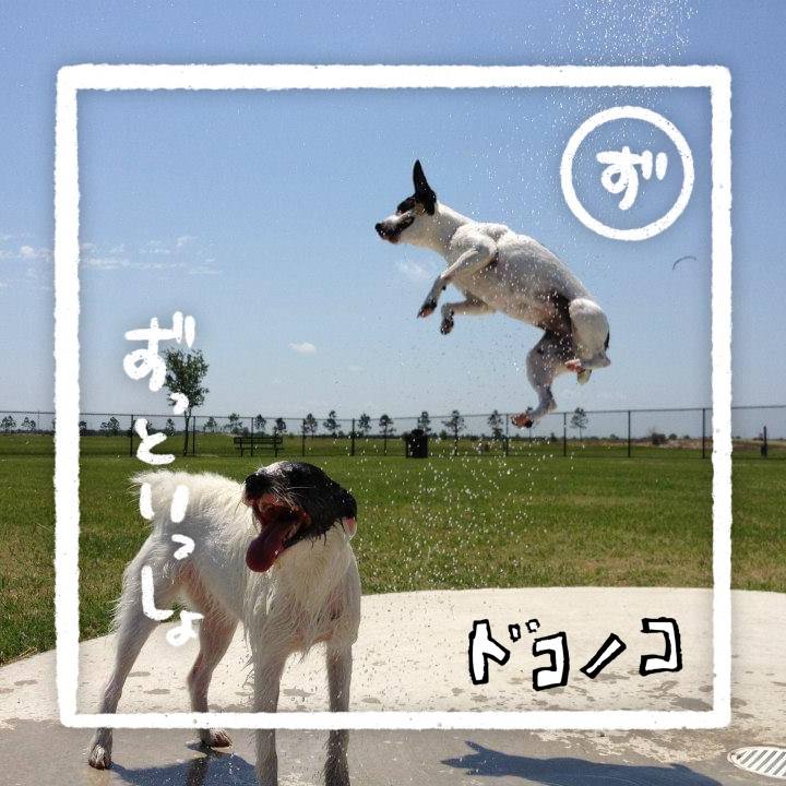 41b251e1 3f50 4fcd 92e6 d3f525e0aa16 1686003301861