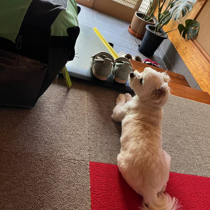 41b264e6 2140 4efb b2d5 6e95fbd51b70 1657507553950