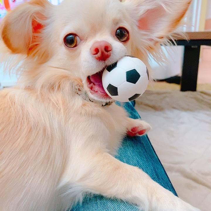 41b28cdb ddf1 441d 8224 fe451ae1af96 1620619670363