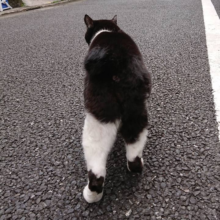 41b2c4fa 998b 4e92 a924 474adf870dc7 1649129410036