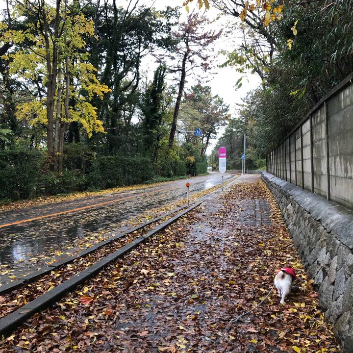 41b2d23d 5d29 421f a60d 307e8a6e83a6 1606093968166