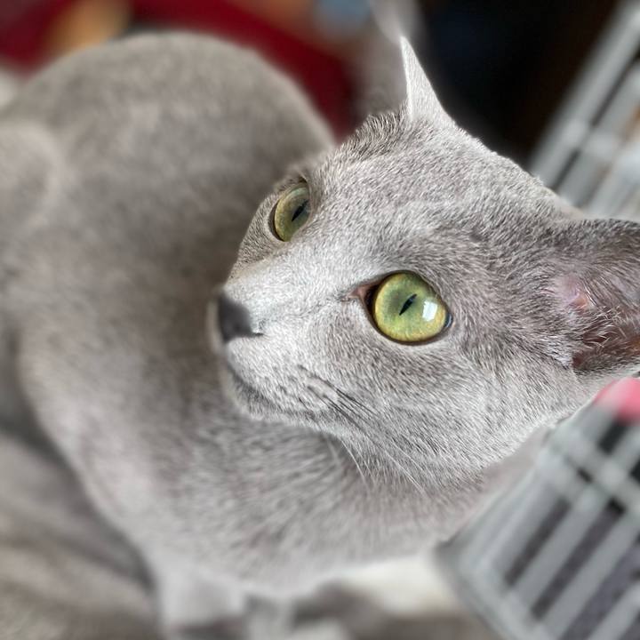 41b2e6f5 722f 4058 ae79 6a97fe9c1bd3 1611968456201