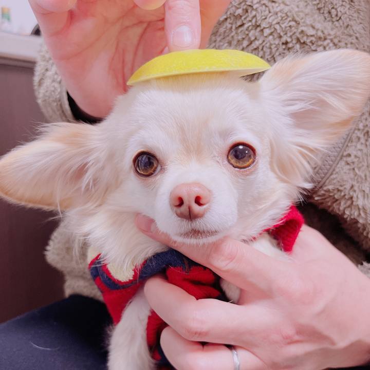 41b333a8 2ffb 403c 979c 1c98aaaeb308 1676896805227