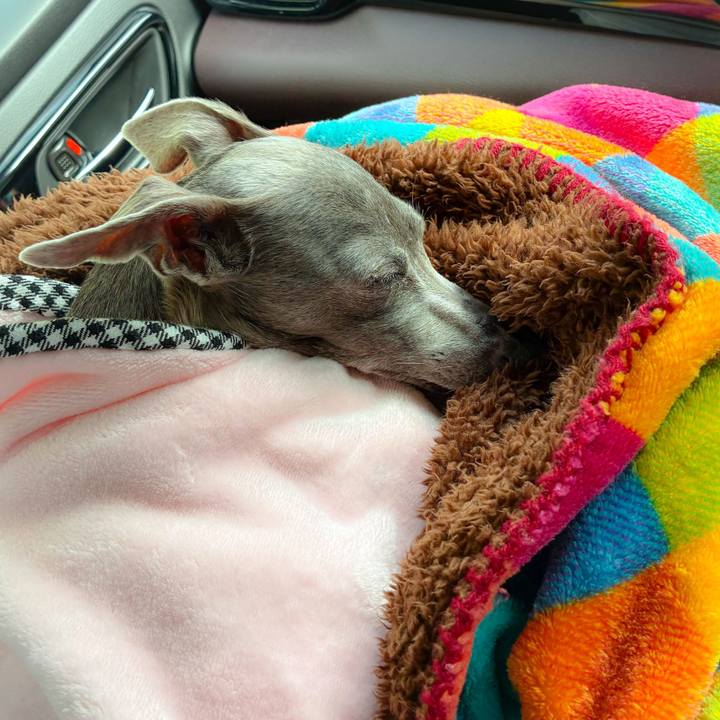 41b33ea2 598d 4be1 ab24 d057a8e80bd2 1771663251938