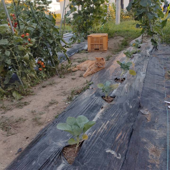 41b35eb3 1393 4579 ae35 820e5a97aae9 1691575638384