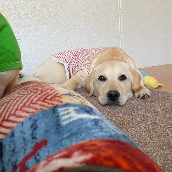 41b38374 4188 4e50 b6cd 426423611703 1618872849369