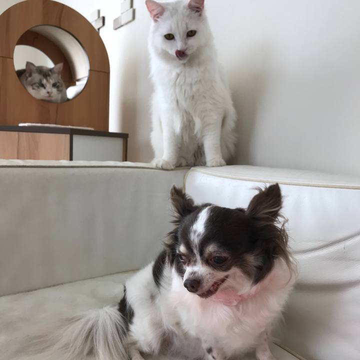 41b3cc6e 6288 4412 8fdc bc6d67914e13 1531195456244