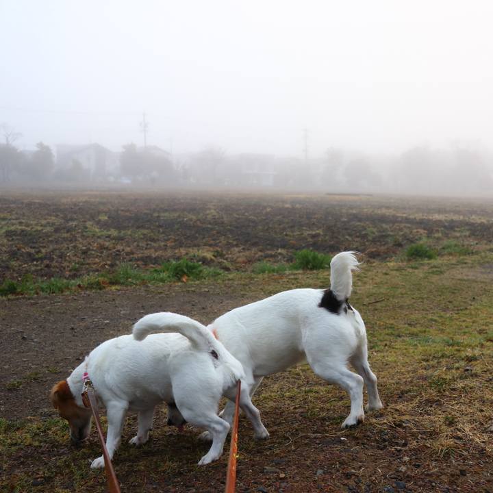 41b3f09a c22c 42a4 b9ae bc7c20c76879 1550615102060