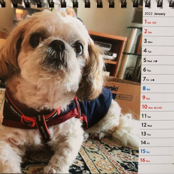 41b407c9 dd65 42ee 961a 6df9234bb5d2 1641096367170