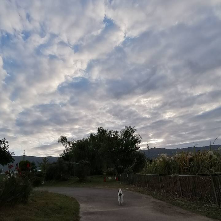 41b4151d e8f5 44f2 9c42 07a2f51776b7 1573171034565