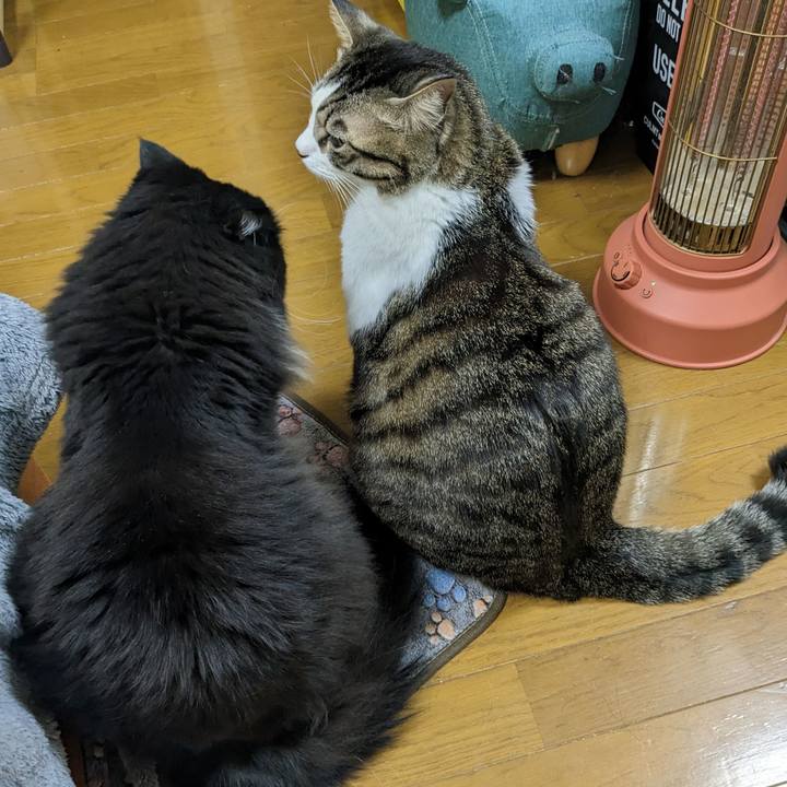 41b4a889 f73a 41c8 bd99 bc4314233a25 1676797403816