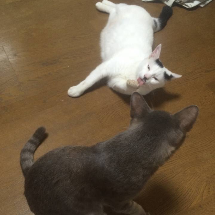 41b4cd0d 2bbb 4860 b3ee 9efef627c0c8 1535030853592