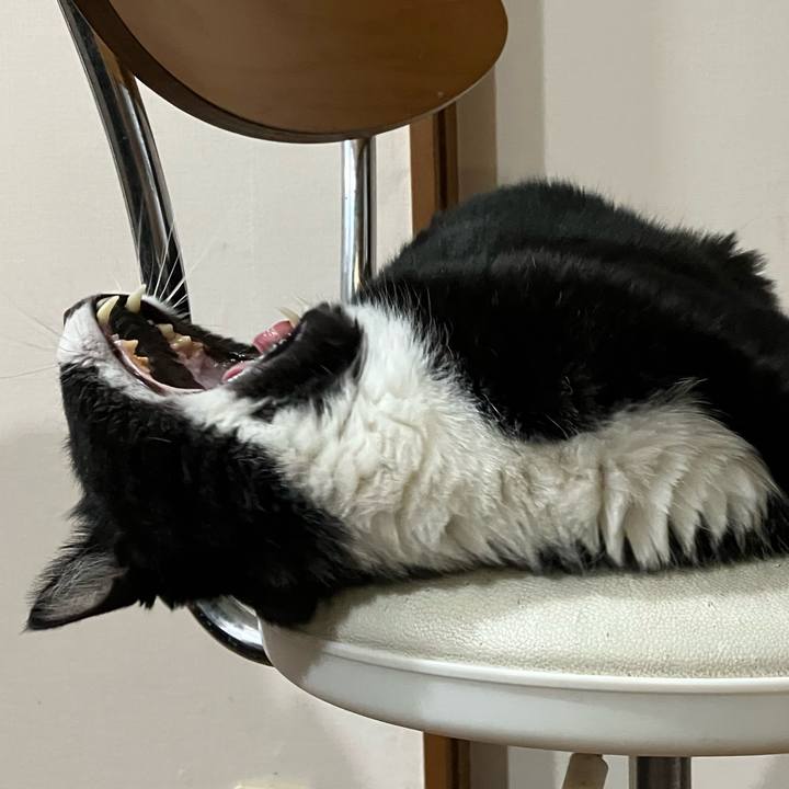 41b4e1f0 2b8c 434b b7a6 c1305f04222c 1685071121256